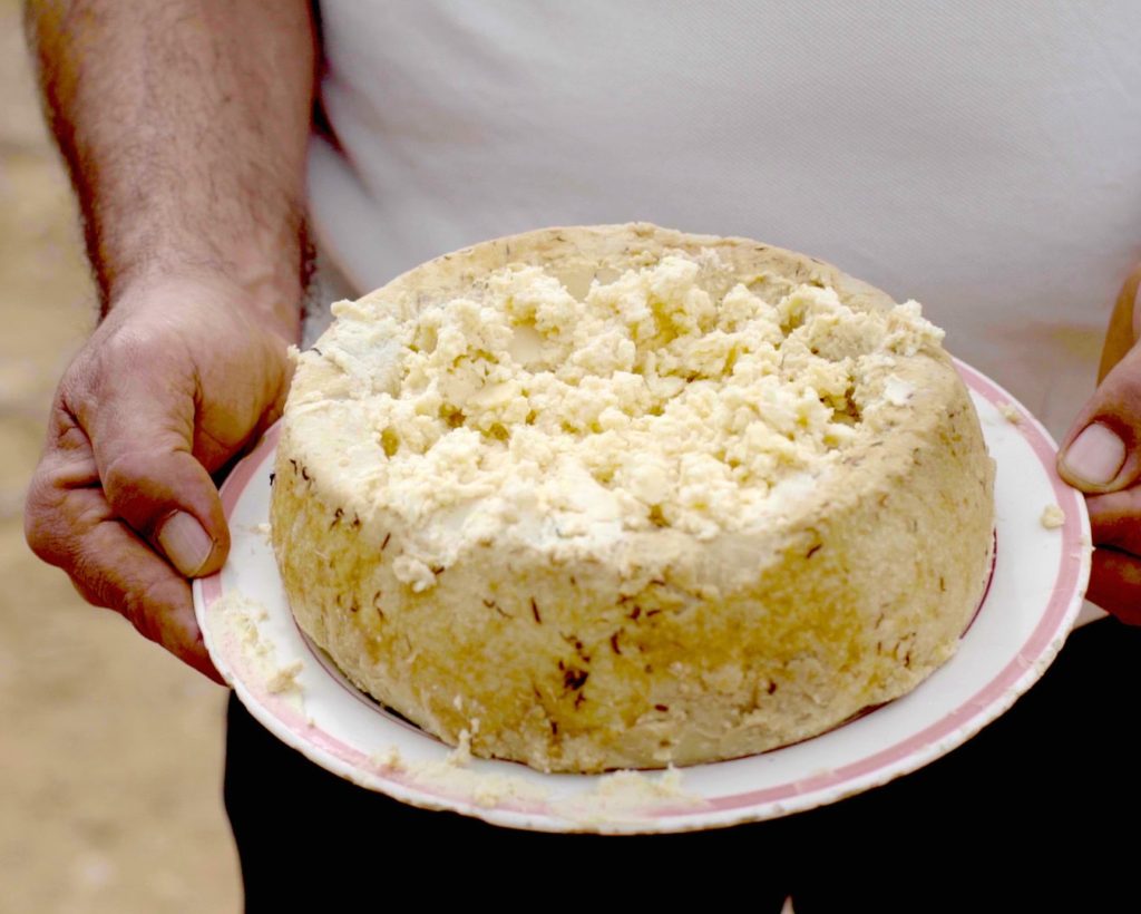 Casu Marzu: El Queso Más Peligroso del Mundo