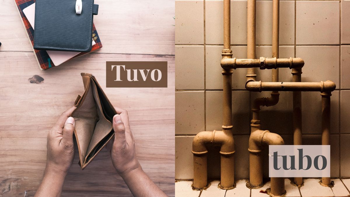 tuvo o tubo