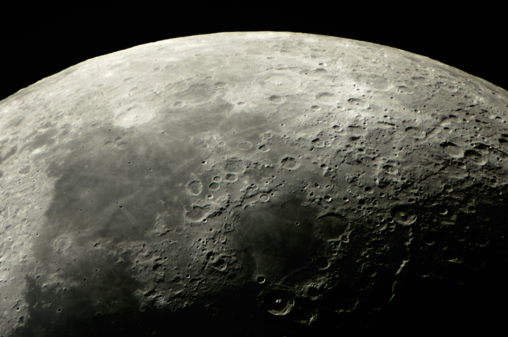 Científicos proponen base lunar para criopreservar especies en peligro de extinción
