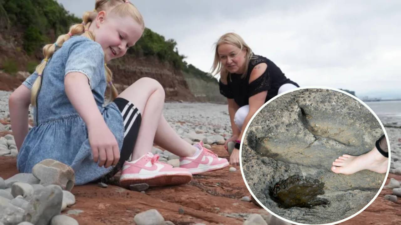 Una niña descubre huellas de dinosaurio de 200 millones de años durante un paseo por la playa