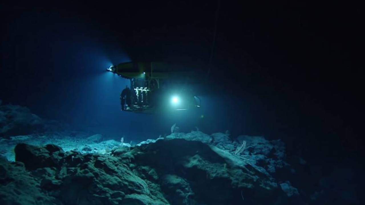 Descubren el origen de los misteriosos gemidos proveniente de la fosa de las Marianas
