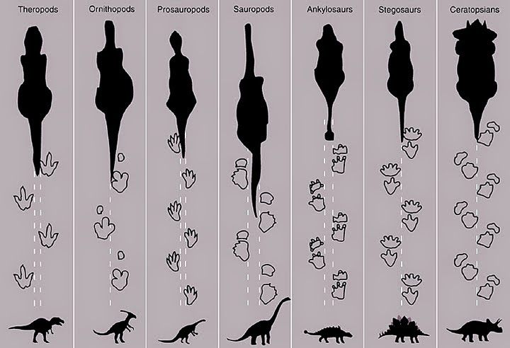 Cal'Orcko: El sitio con más huellas de dinosaurios del mundo