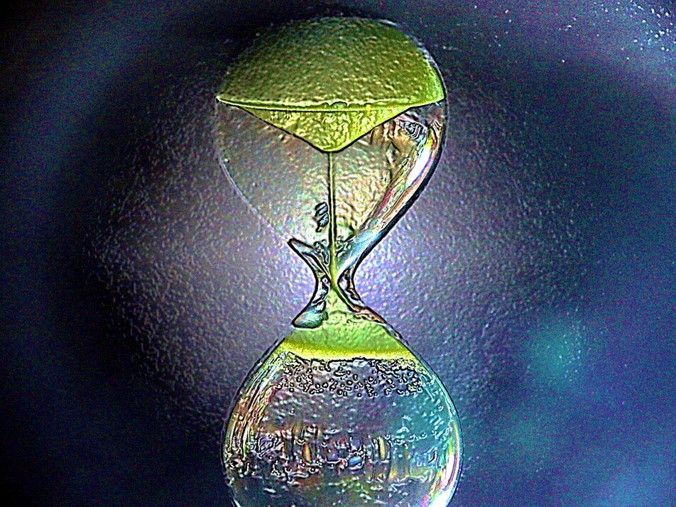 Científicos logran retroceder el tiempo en una computadora cuántica