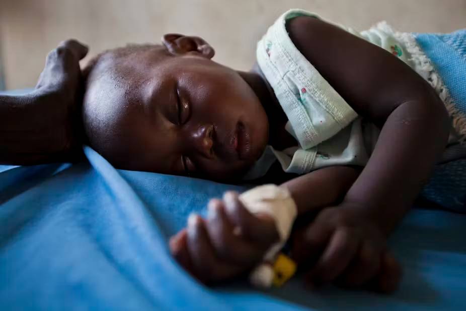 Mosquitos genéticamente modificados: Una esperanza para inmunizar contra la malaria