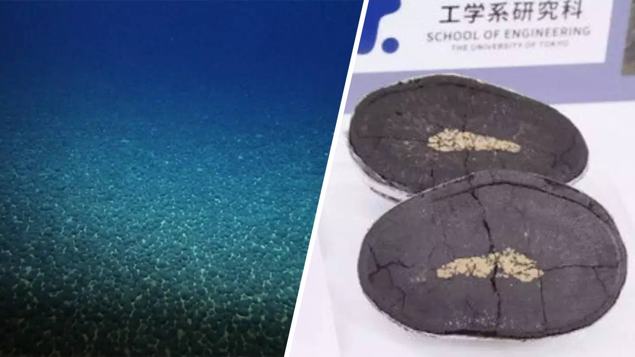 Japón descubre un tesoro submarino que podría transformar su economía