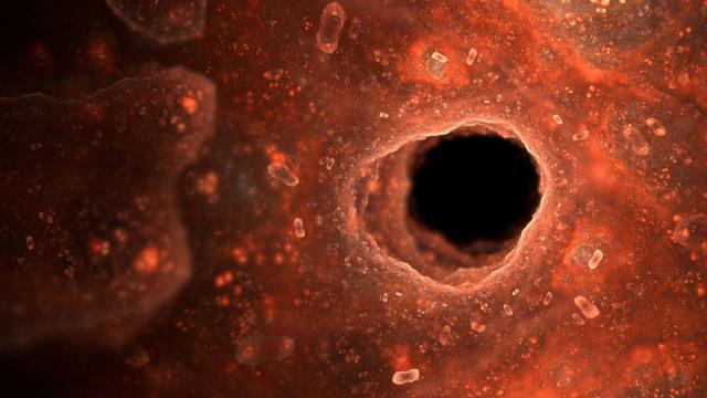 CientÃficos descubren nuevas formas de vida dentro del cuerpo humano