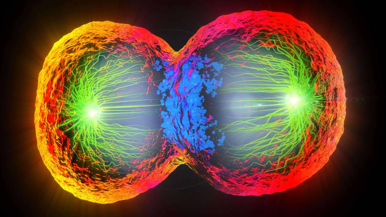Científicos se horrorizan de la “vida espejo” y dicen que podría acabar con la biología
