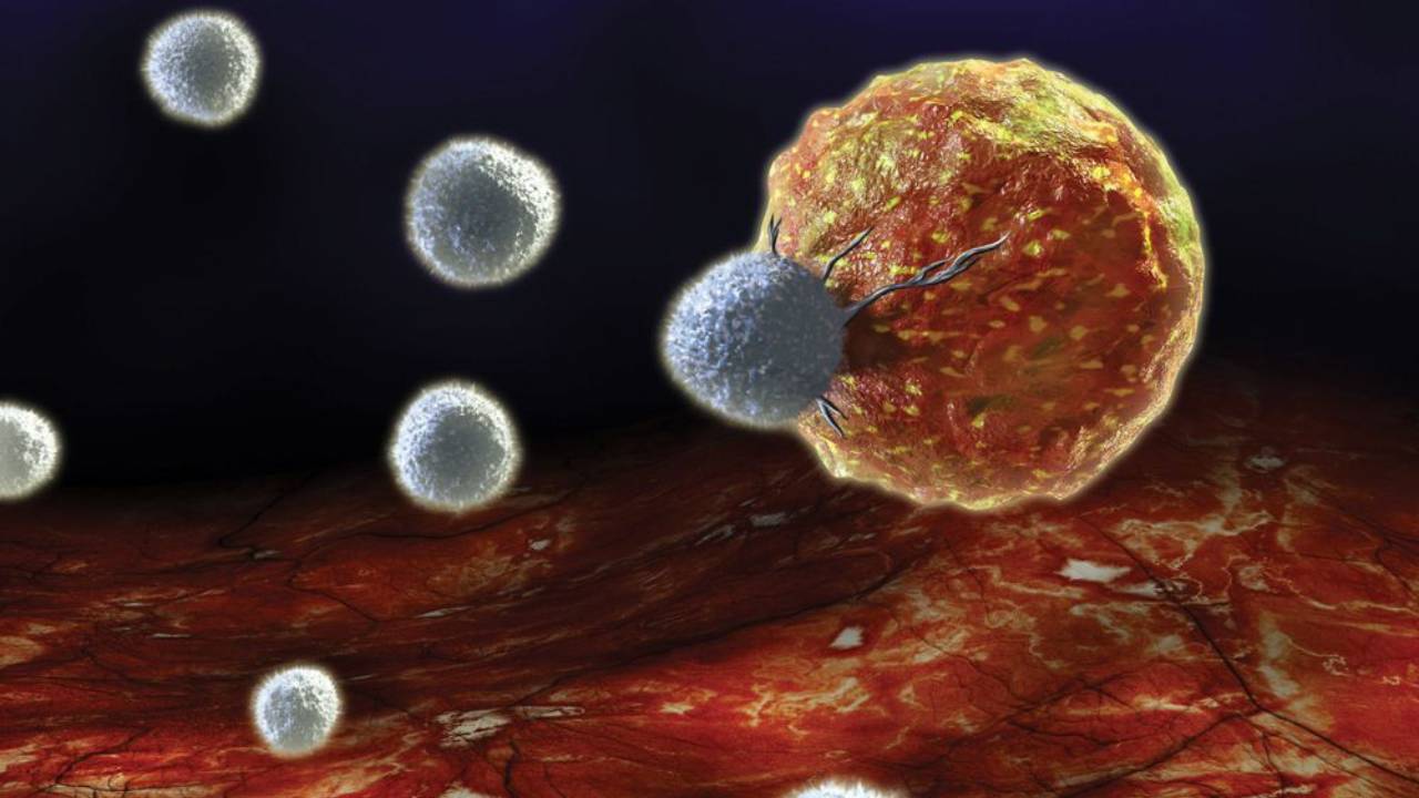 Un nuevo fármaco contra el cáncer de mama elimina tumores en ratones en una sola dosis