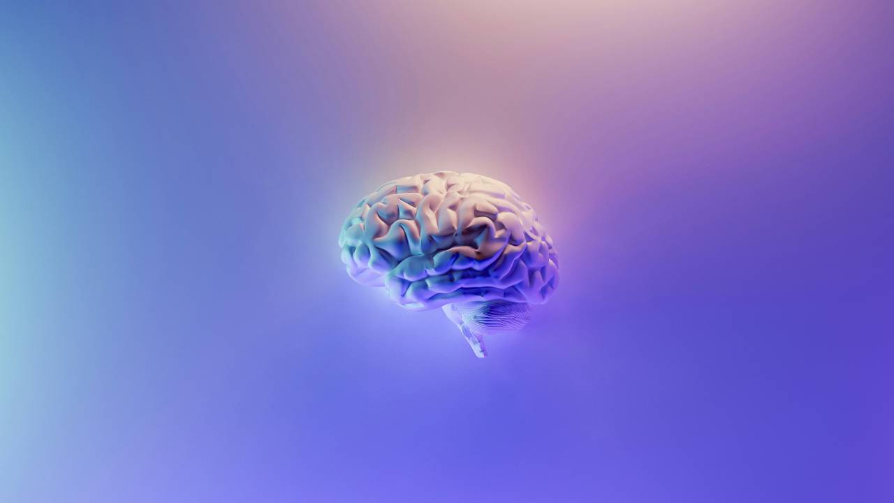 cerebro