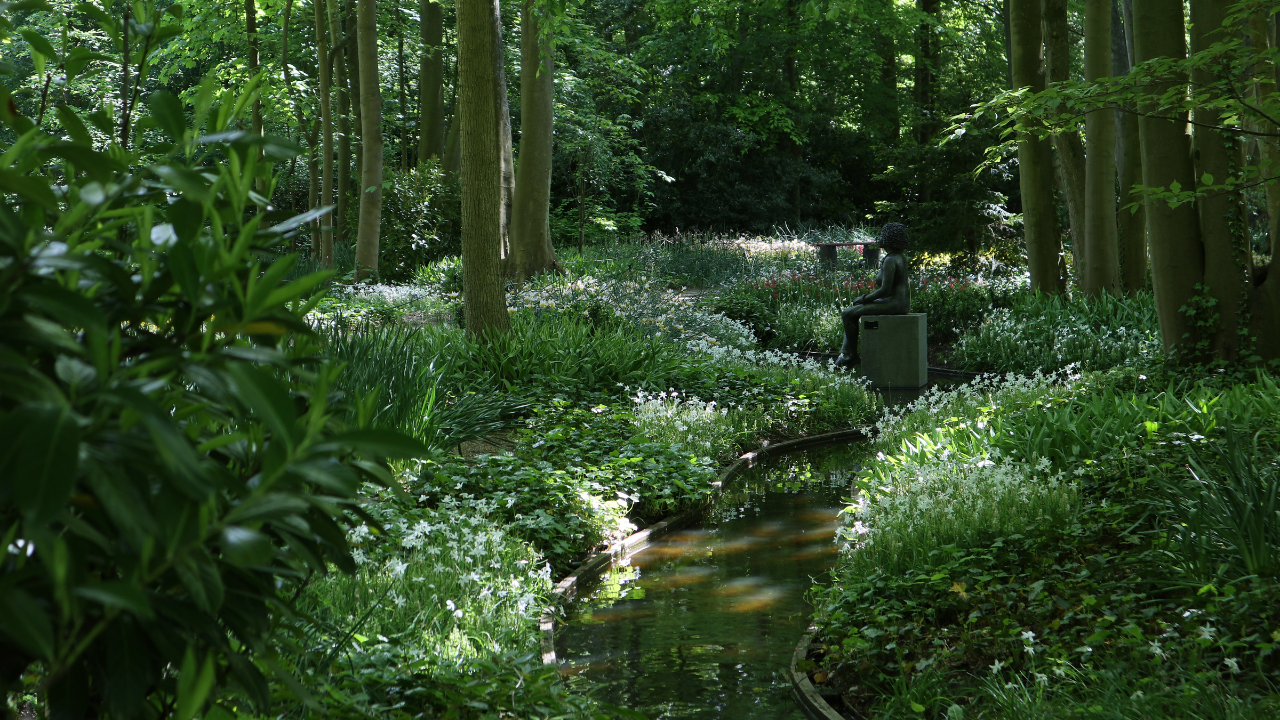 jardines forestales
